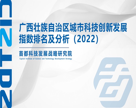 女人BB大片【成果发布】广西壮族自治区城市科技创新发展指数排名及分析（2022）